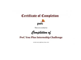 PWC普华永道You Plus