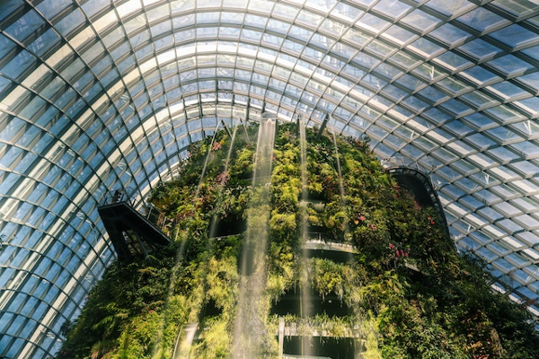 新加坡留学后如何处理不同国家和地区的文化差异