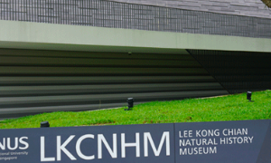新加坡国立大学本科申请费用