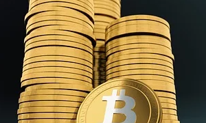 新加坡管理发展学院一年花费