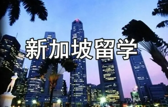 新加坡留学：实用经验分享：解密费用、申请与中介 