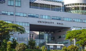 新加坡国立大学供应链管理