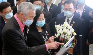 新加坡南洋理工大学硕士条件